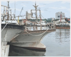  2025Ÿ��453 ���׽� ��������         ���ڰ��