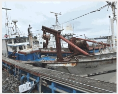  2025Ÿ��488 ���׽� ��������         ���ڰ��