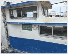  2025Ÿ��488 ���׽� ��������         ���ڰ��