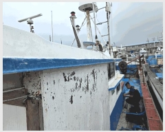  2025Ÿ��488 ���׽� ��������         ���ڰ��