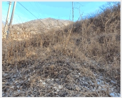  2025Ÿ��3242 ��� ���׽� �ϱ� ���� ���踮 567-1     ����(��1)���