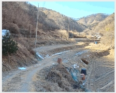  2025Ÿ��3242 ��� ���׽� �ϱ� ���� ���踮 567-1     ����(��1)���