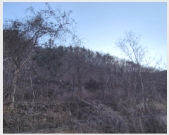  2025Ÿ��3242 ��� ���׽� �ϱ� ���� ���踮 567-1     ����(��1)���