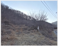  2025Ÿ��3242 ��� ���׽� �ϱ� ���� ���踮 567-1     ����(��1)���