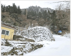  2025Ÿ��3297 ��� �︪�� �︪�� ������ 157-1      ����(����)���