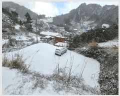  2025Ÿ��3297 ��� �︪�� �︪�� ������ 157-1      ����(����)���