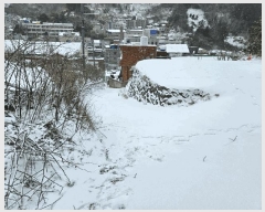  2025Ÿ��3297 ��� �︪�� �︪�� ������ 157-1      ����(����)���