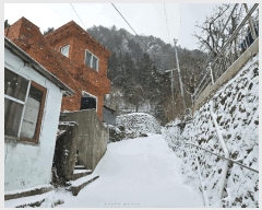  2025Ÿ��3297 ��� �︪�� �︪�� ������ 157-1      ����(����)���