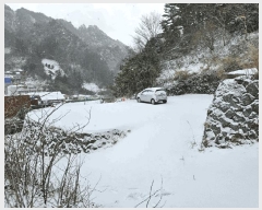  2025Ÿ��3297 ��� �︪�� �︪�� ������ 157-1      ����(����)���