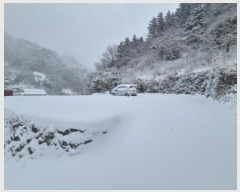  2025Ÿ��3297 ��� �︪�� �︪�� ������ 157-1      ����(����)���