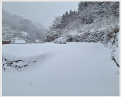  2025Ÿ��3297 ��� �︪�� �︪�� ������ 157-1      ����(����)���