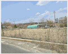  2025Ÿ��3396 ��� ���׽� �ϱ� ������ ��� 895     ����(��1)���