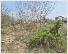  2025Ÿ��3396 ��� ���׽� �ϱ� ������ ��� 895     ����(��1)���