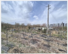  2025Ÿ��3396 ��� ���׽� �ϱ� ������ ��� 895     ����(��1)���