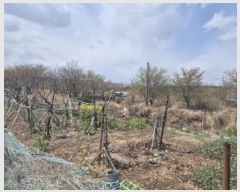  2025Ÿ��3396 ��� ���׽� �ϱ� ������ ��� 895     ����(��1)���