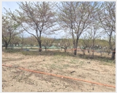  2025Ÿ��3396 ��� ���׽� �ϱ� ������ ��� 895     ����(��1)���