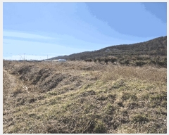  2025Ÿ��3457  ����