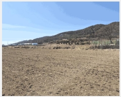  2025Ÿ��3457  ����