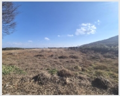  2025Ÿ��3457  ����