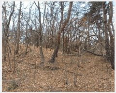  2025Ÿ��3538 ��� ���׽� ���� ������ ������ ��59-22     ����(�Ӿ�)���