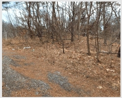  2025Ÿ��3538 ��� ���׽� ���� ������ ������ ��59-22     ����(�Ӿ�)���