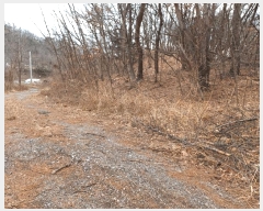  2025Ÿ��3538 ��� ���׽� ���� ������ ������ ��59-22     ����(�Ӿ�)���