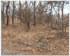  2025Ÿ��3538 ��� ���׽� ���� ������ ������ ��59-22     ����(�Ӿ�)���