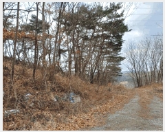  2025Ÿ��3538 ��� ���׽� ���� ������ ������ ��59-22     ����(�Ӿ�)���