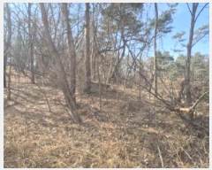  2025Ÿ��3538 ��� ���׽� ���� ������ ������ ��59-22     ����(�Ӿ�)���