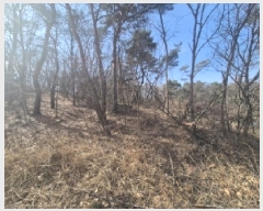  2025Ÿ��3538 ��� ���׽� ���� ������ ������ ��59-22     ����(�Ӿ�)���