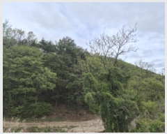  2025Ÿ��3639  �Ӿ߰��