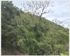  2025Ÿ��3639  �Ӿ߰��