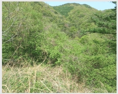  2025Ÿ��3664 ��� ���׽� �ϱ� �ű��� ���ϸ� 325     ����(��)���