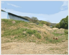  2025Ÿ��3664 ��� ���׽� �ϱ� �ű��� ���ϸ� 325     ����(��)���