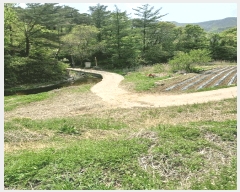  2025Ÿ��3664 ��� ���׽� �ϱ� �ű��� ���ϸ� 325     ����(��)���