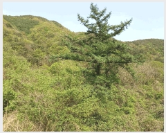  2025Ÿ��3664 ��� ���׽� �ϱ� �ű��� ���ϸ� 325     ����(��)���