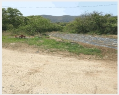  2025Ÿ��3664 ��� ���׽� �ϱ� �ű��� ���ϸ� 325     ����(��)���