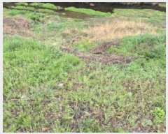  2025Ÿ��3664 ��� ���׽� �ϱ� �ű��� ���ϸ� 325     ����(��)���