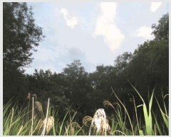  2025Ÿ��3684  �Ӿ߰��