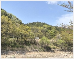  2025Ÿ��3684  �Ӿ߰��