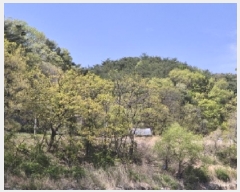  2025Ÿ��3684  �Ӿ߰��