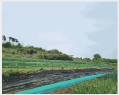  2025Ÿ��3689  �Ӿ߰��