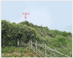  2025Ÿ��3689 ��� ���׽� ���� ��۸� �밢�� ��66-4     ����(�Ӿ�)���