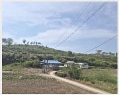  2025Ÿ��3689 ��� ���׽� ���� ��۸� �밢�� ��66-4     ����(�Ӿ�)���