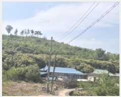  2025Ÿ��3689 ��� ���׽� ���� ��۸� �밢�� ��66-4     ����(�Ӿ�)���