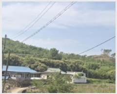  2025Ÿ��3689 ��� ���׽� ���� ��۸� �밢�� ��66-4     ����(�Ӿ�)���