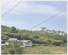  2025Ÿ��3689 ��� ���׽� ���� ��۸� �밢�� ��66-4     ����(�Ӿ�)���