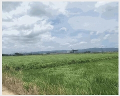  2025Ÿ��3907 ��� ���׽� �ϱ� ������ ��õ�� 404     ����(��)���