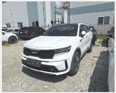  2025Ÿ��3953  �������