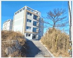  2025Ÿ229  ׽  ȣ̰ ظ̷167 16-7, 1 1101ȣ   ټ,